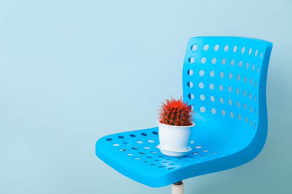 Chair with cactus on color background