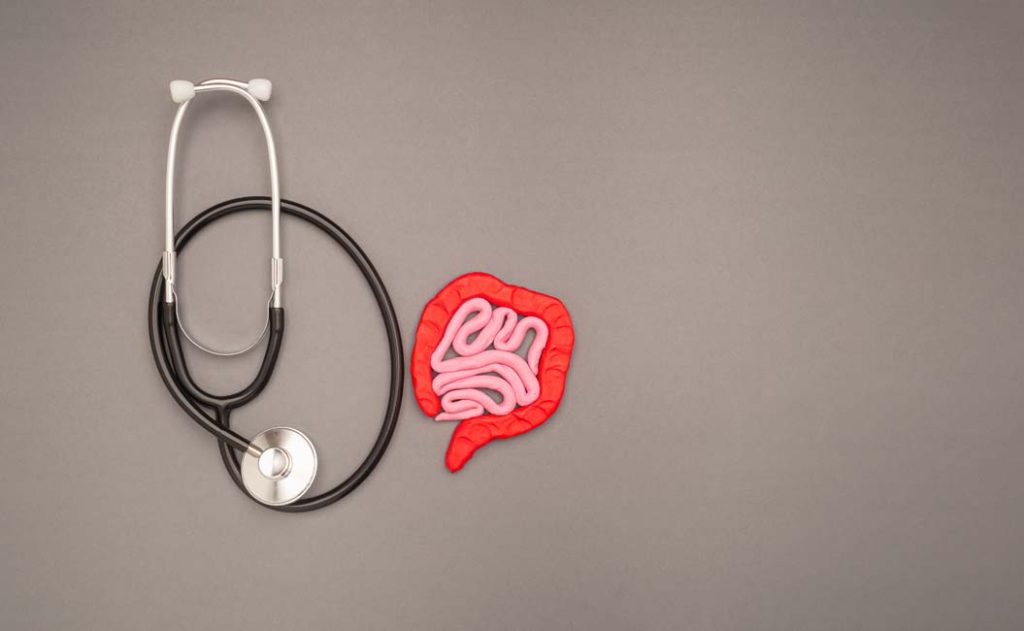 A stethoscope and large intestine shape made from plasticine over a gray background